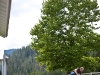 idaho1-49