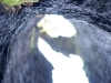 hollow-tree-002