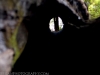 hollow-tree-007