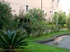 italy-1-2