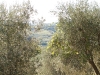 italy-3-111