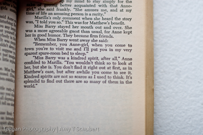 AnneBooks-10 AnneBooks-10