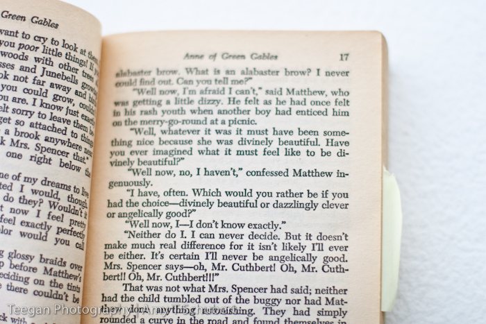 AnneBooks-8 AnneBooks-8