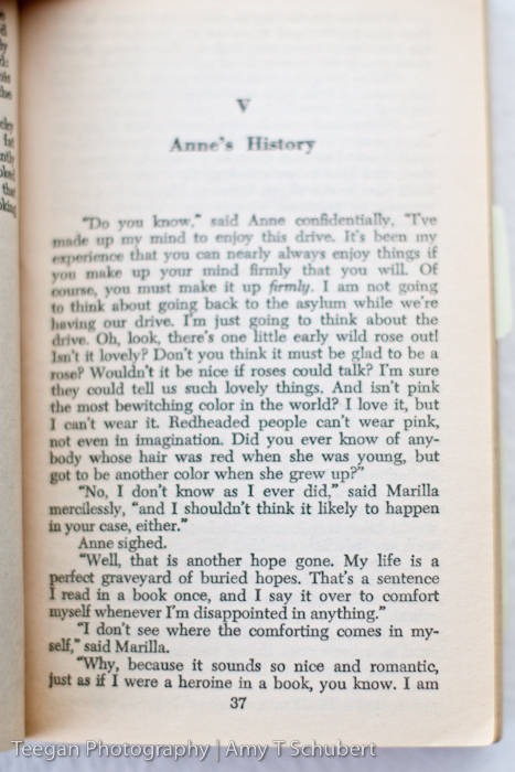 AnneBooks-9 AnneBooks-9