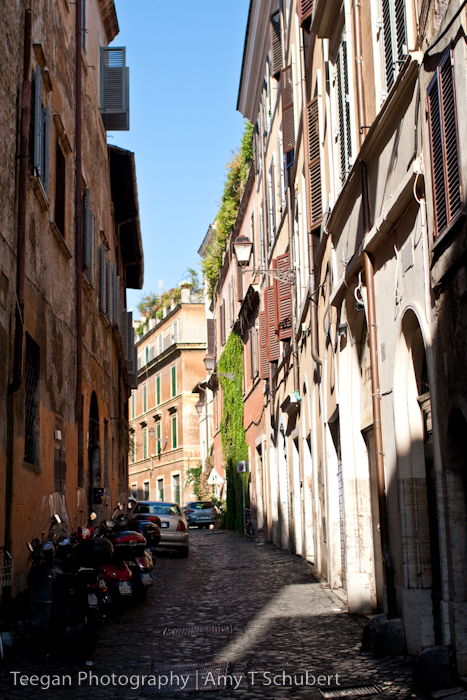 italy-1-31 italy-1-31