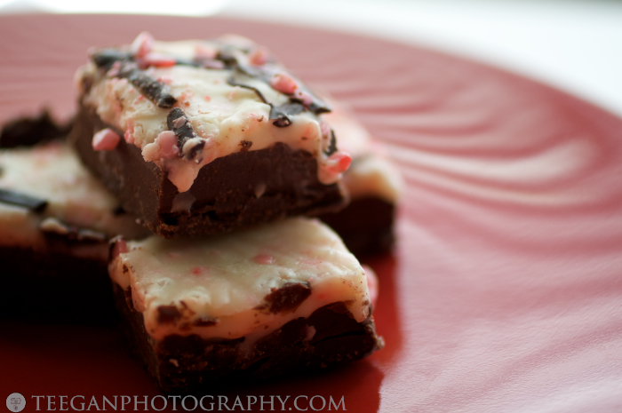 fudge 001 fudge 001