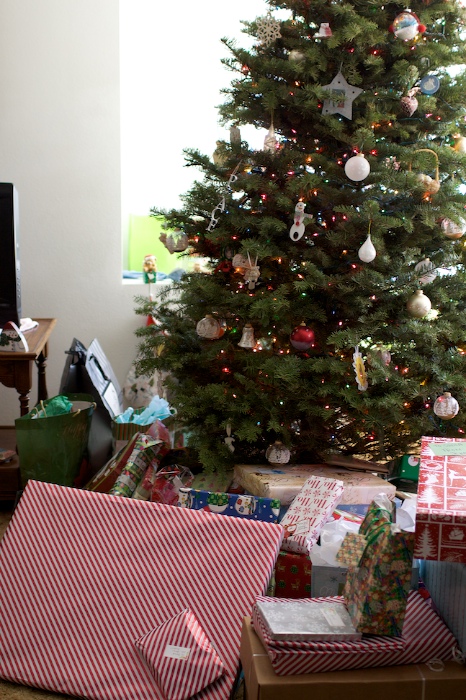 1-Christmas-2010 004